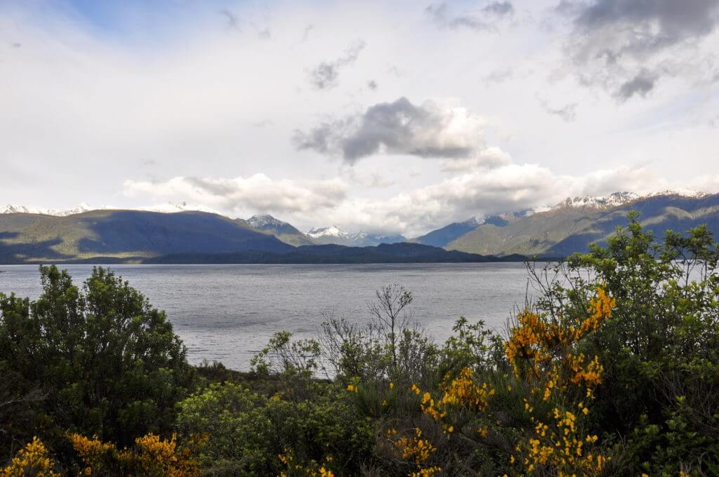 lake te anau, south island, new zealand