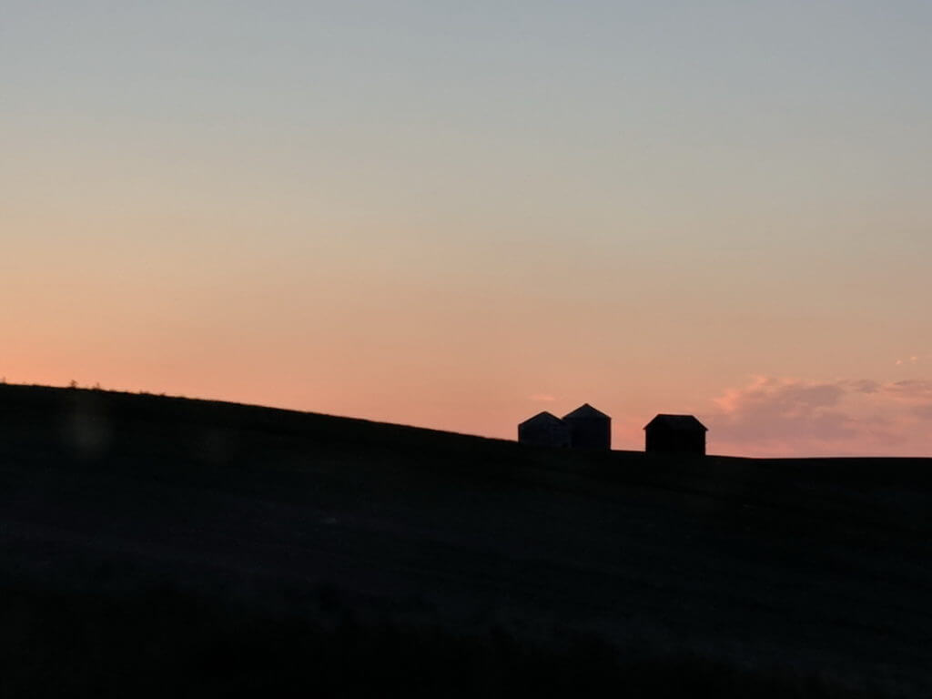 farm buildings in silhouette against a pink sky, saskatchewan