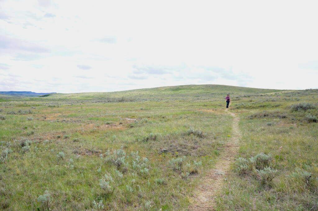 Image of jean hiking the valley of 1000 devils route, grasslands national park east block, saskatchewan