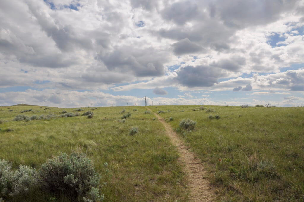 Image of the valley of 1000 devils trail in grasslands national park east block, saskatchewan