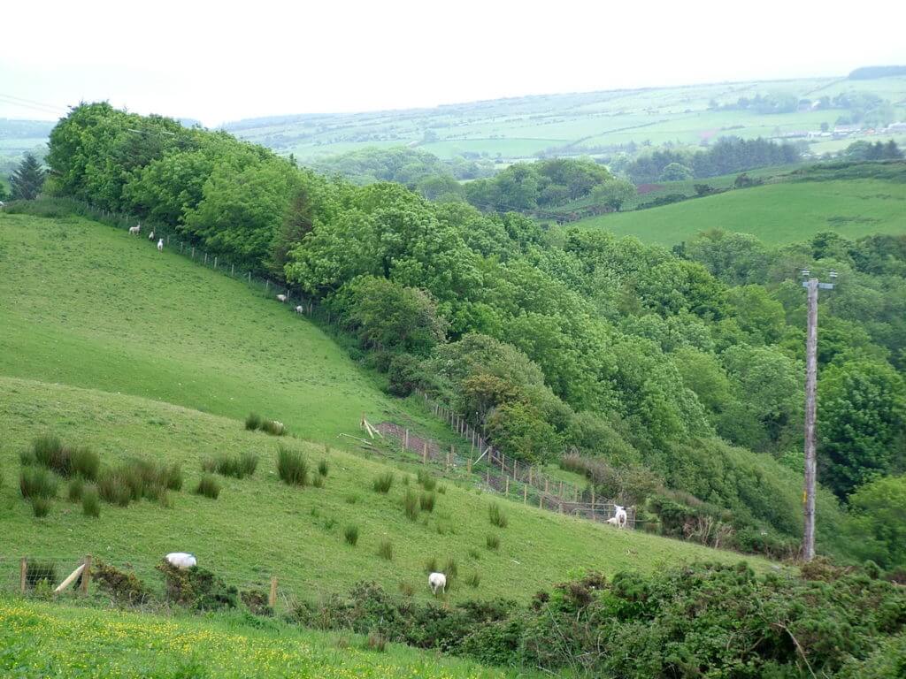 hillside pastures, glenariff, northern ireland