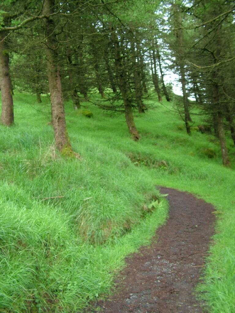 evergreen forest trail, glenariff forest park, northern ireland