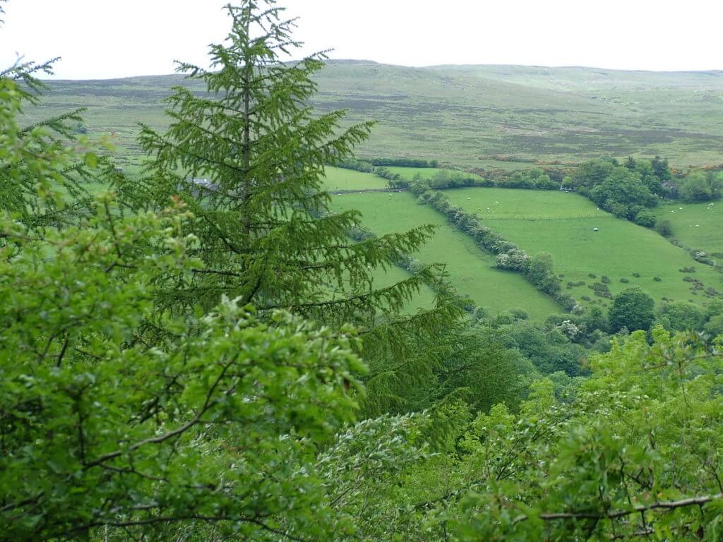 ladder farms, glenariff forest park, northern ireland