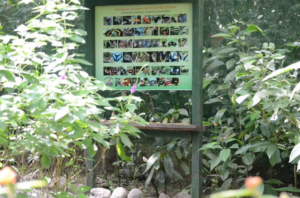 interpretive sign, ecocentro danaus, la fortuna, costa rica