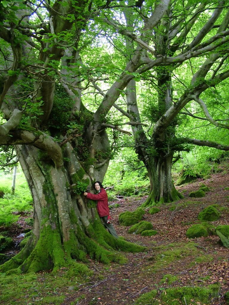 jean hugging a massive ancient tree, glenariff forest park, northern ireland