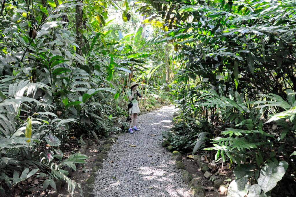 jean on the trail, ecocentro danaus, la fortuna, costa rica