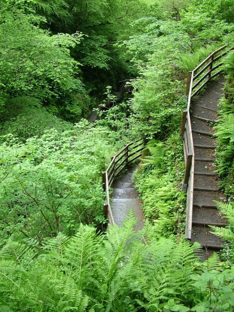 switchback trail, glenariff forest park, northern ireland