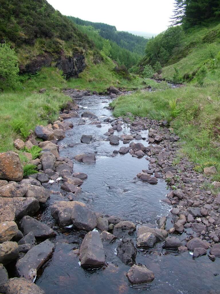 headwaters of the inver river, glenariff forest park, northern ireland