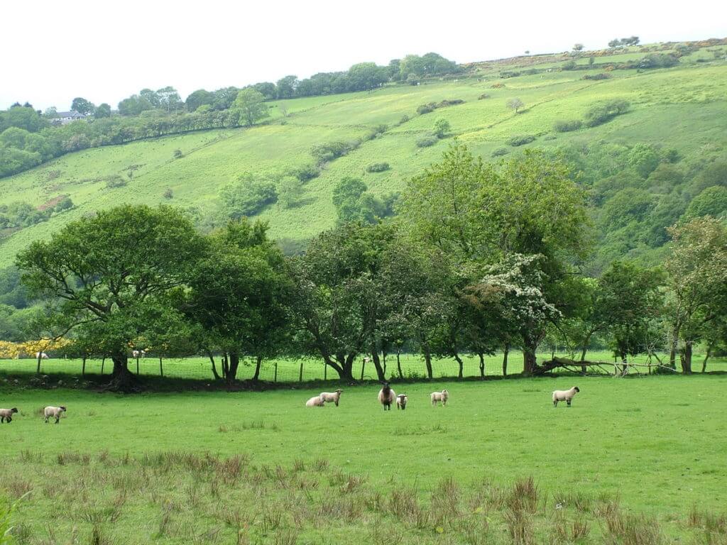 ladder farms, glenariff, northern ireland