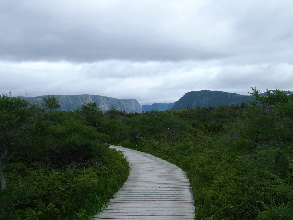 the trail to western brook pond, gros morne national park, newfoundland, canada