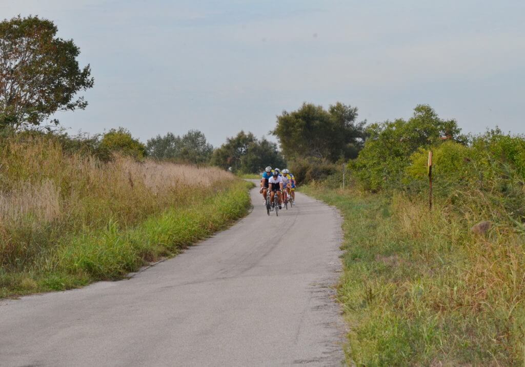 cyclists, parco regionale veneto del delta del po, po river delta, italy