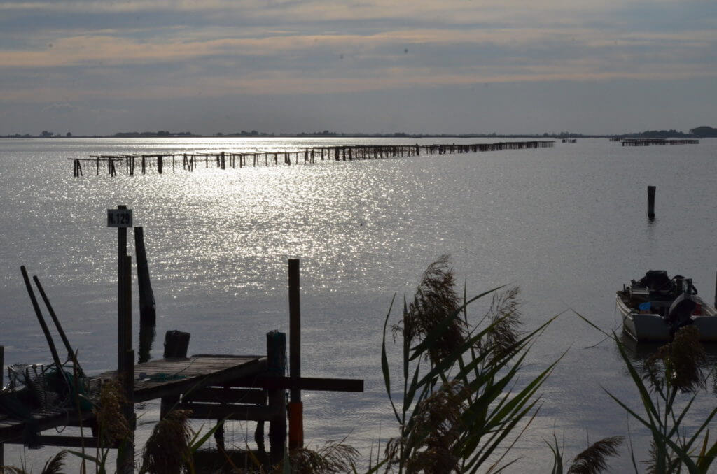 a fishing lagoon at dusk, parco regionale veneto del delta del po, po river delta, italy 