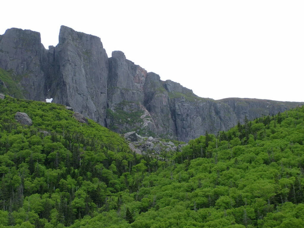 forested slopes, western brook pond, gros morne national park, newfoundland, canada
