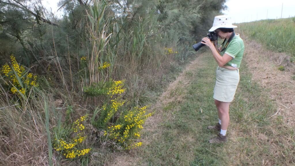 jean taking a photo, oasi di ca' mello, oasis of ca' mello, parco regionale veneto del delta del po, po river delta, italy 