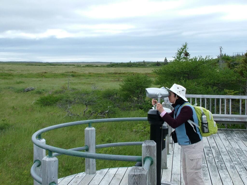 jean at an observation deck near western brook pond, gros morne national park, newfoundland, canada
