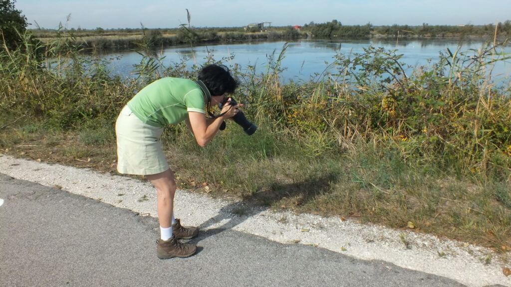 jean taking a photo, parco regionale veneto del delta del po, po river delta, italy