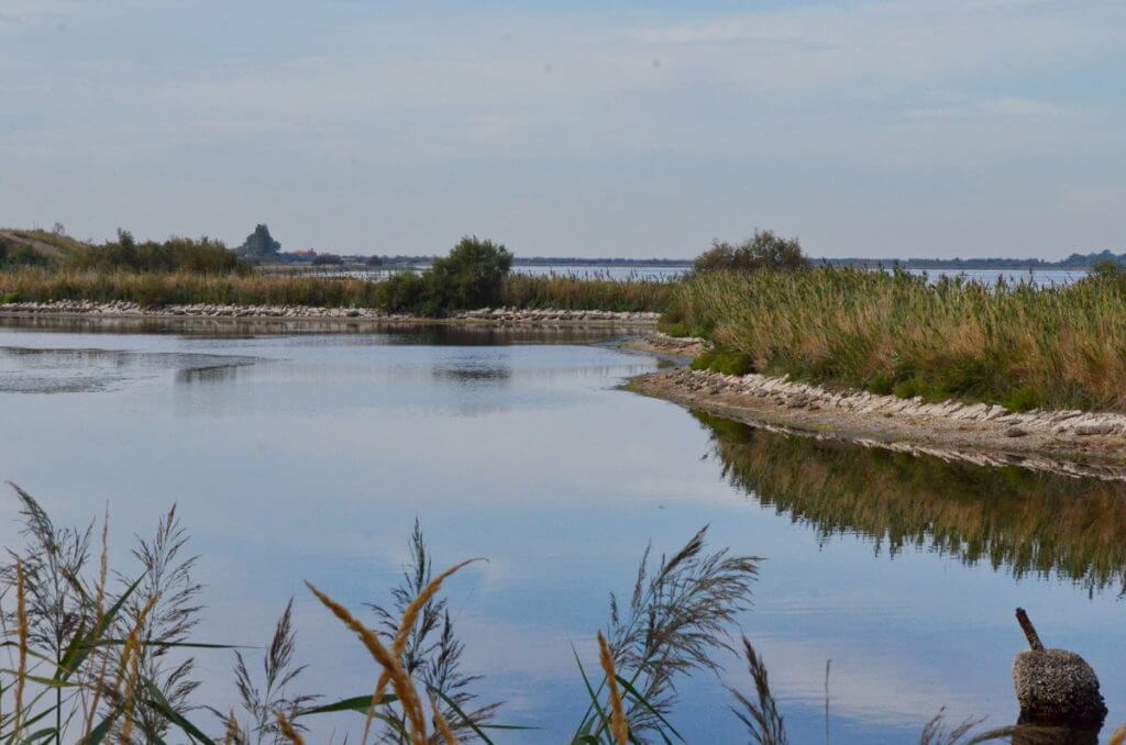 parco regionale veneto del delta del po, po river delta, italy