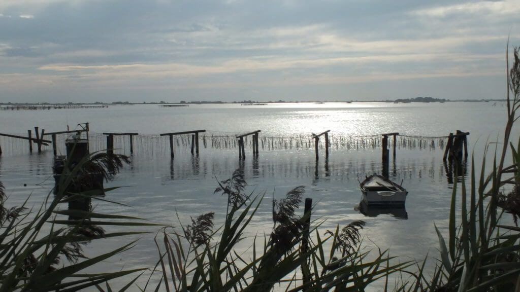 a fishing lagoon, fishing valley, parco regionale veneto del delta del po, po river delta, italy 