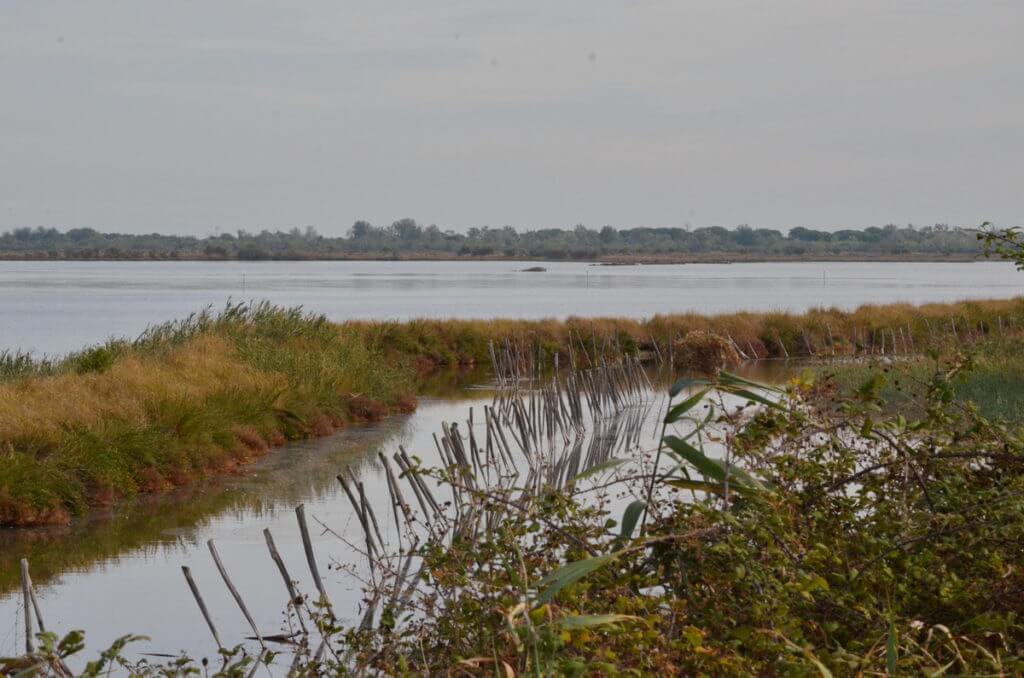 parco regionale veneto del delta del po, po river delta, italy