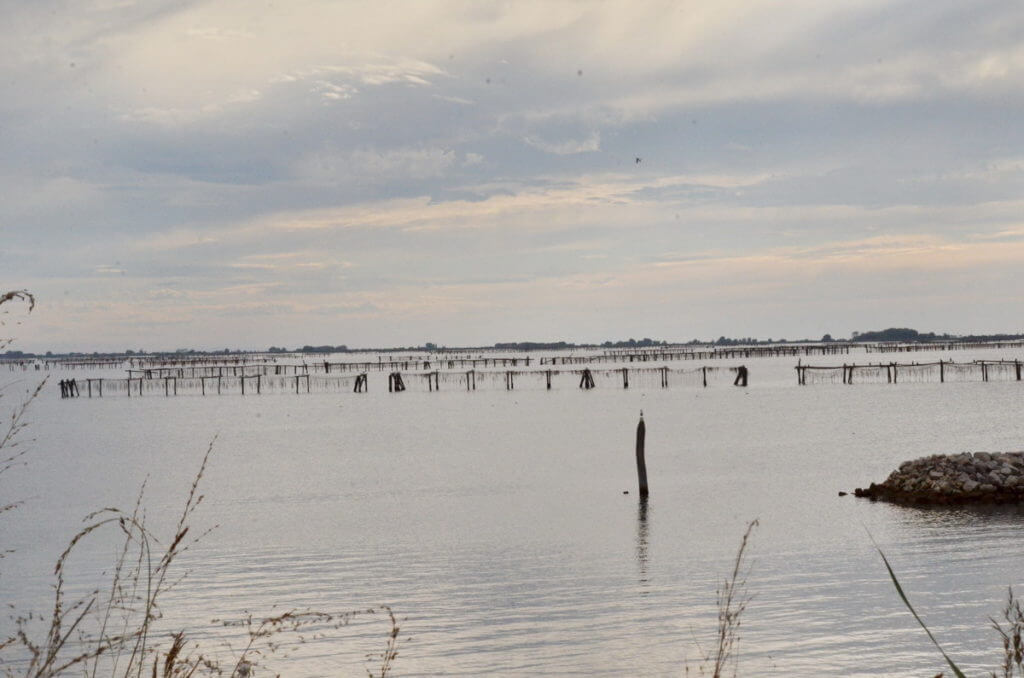 lavorieri, fishing lagoon, parco regionale veneto del delta del po, po river delta, italy 