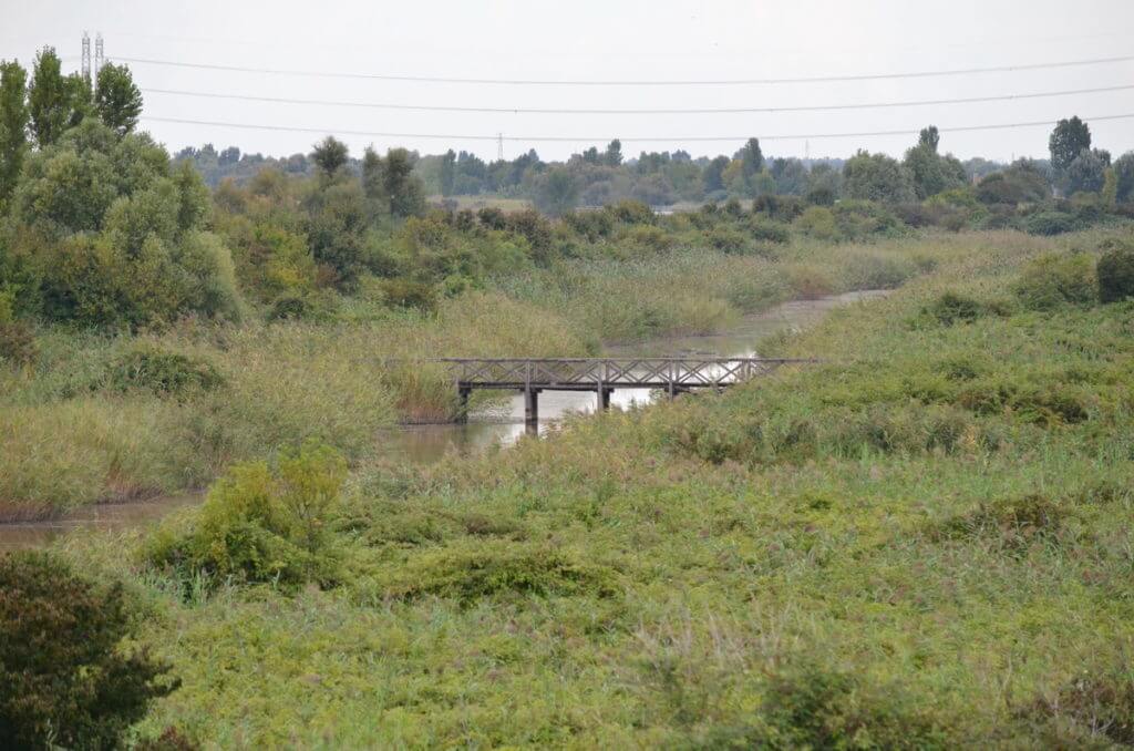 oasi di ca' mello, oasis of ca' mello, parco regionale veneto del delta del po, po river delta, italy 