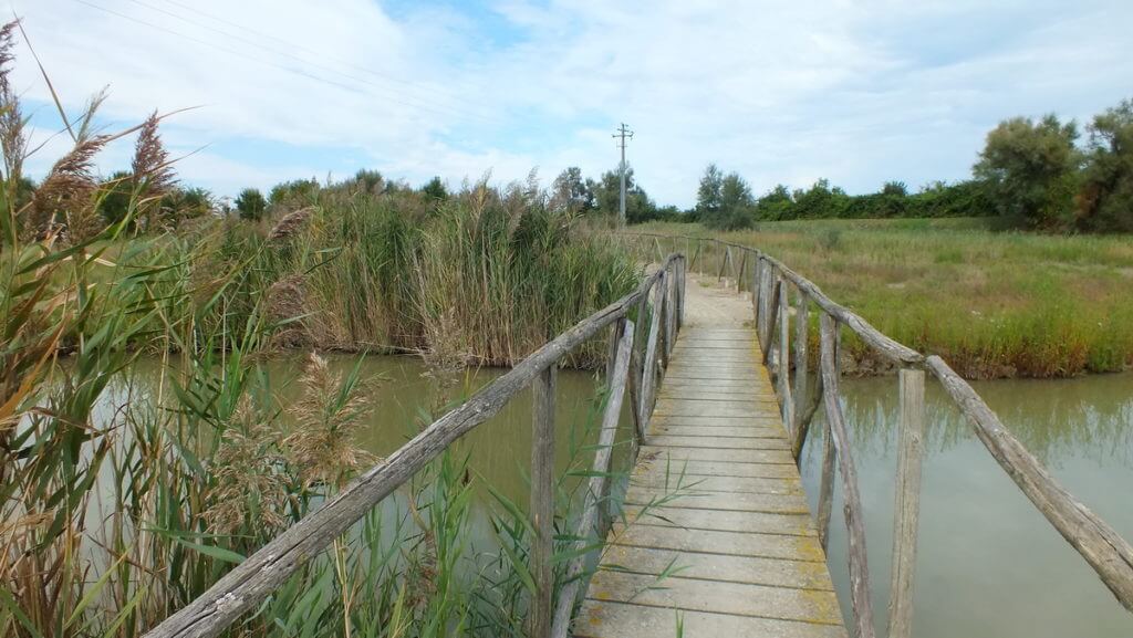 oasi di ca' mello, oasis of ca' mello, parco regionale veneto del delta del po, po river delta, italy 