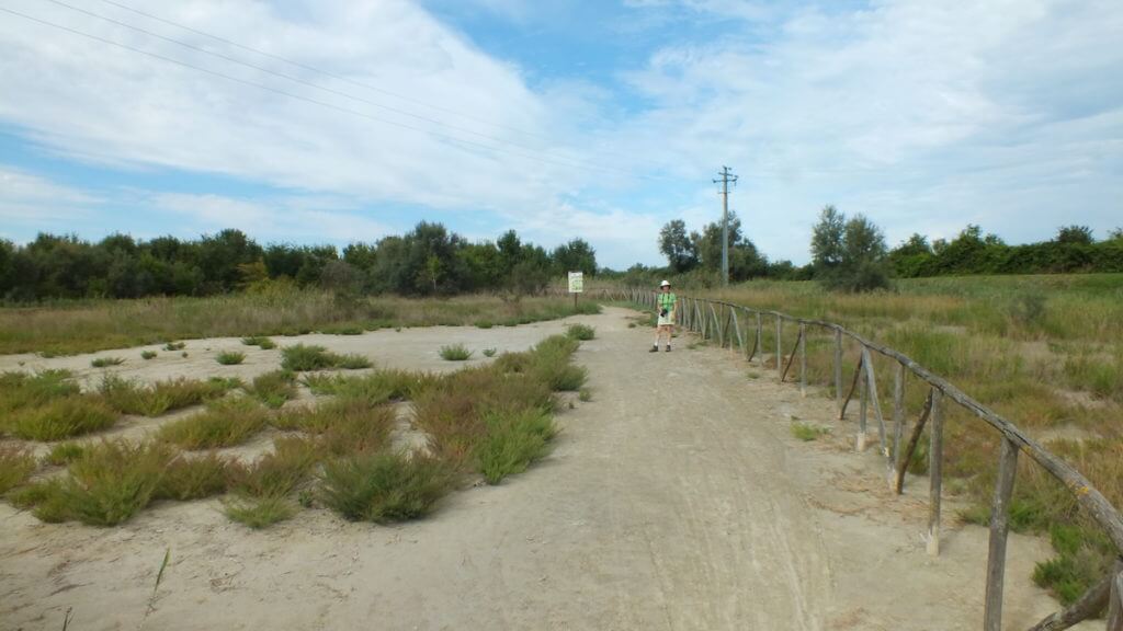 jean at oasi di ca' mello, oasis of ca' mello, parco regionale veneto del delta del po, po river delta, italy 