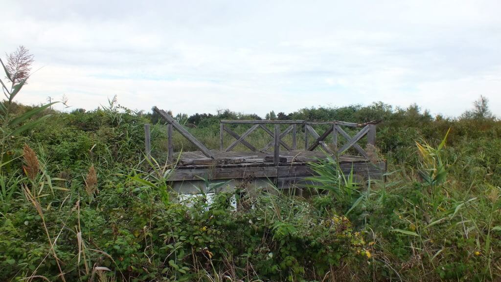 a bridge, oasi di ca' mello, oasis of ca' mello, parco regionale veneto del delta del po, po river delta, italy 