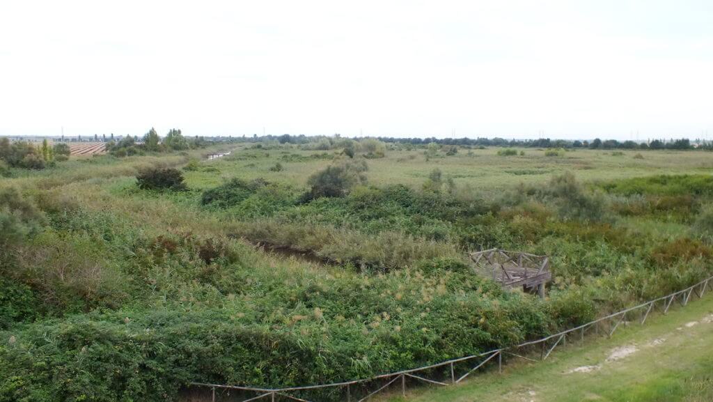 oasi di ca' mello, oasis of ca' mello, parco regionale veneto del delta del po, po river delta, italy 