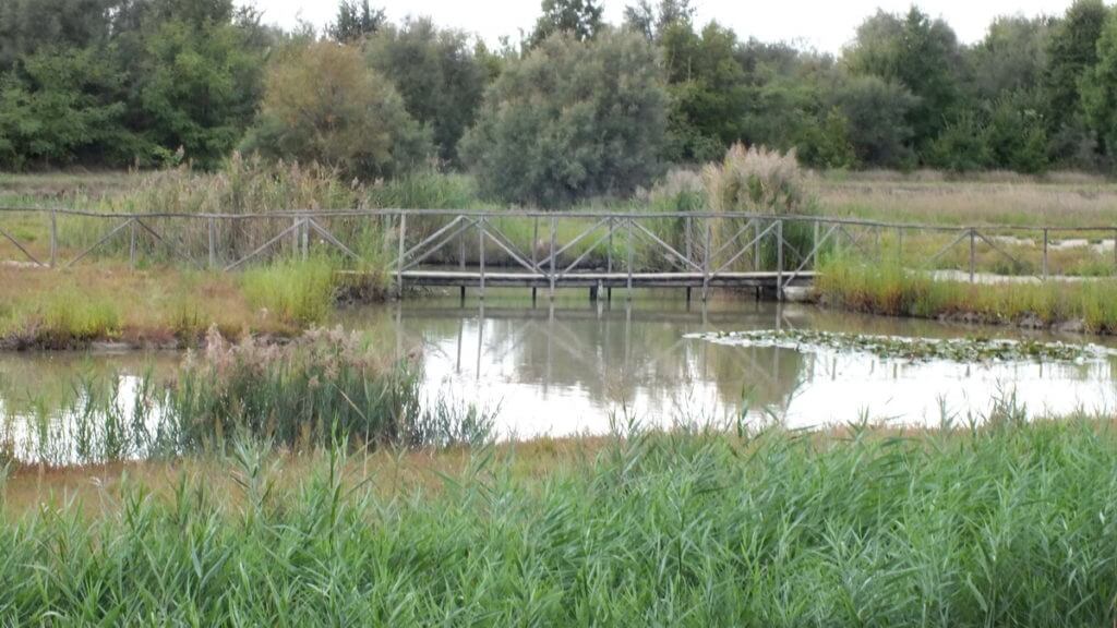 oasi di ca' mello, oasis of ca' mello, parco regionale veneto del delta del po, po river delta, italy 