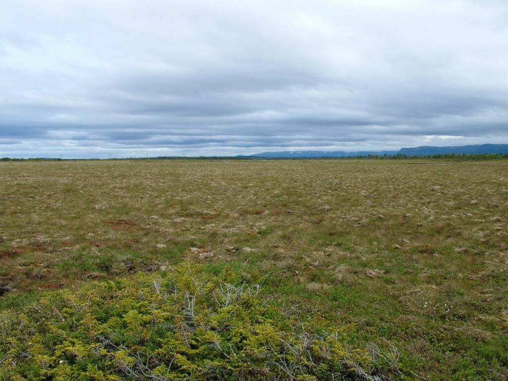 trail to western brook pond, gros morne national park, newfoundland, canada 