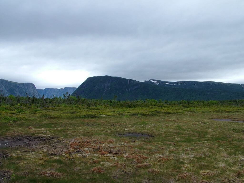 landscape near western brook pond, gros morne national park, newfoundland, canada
