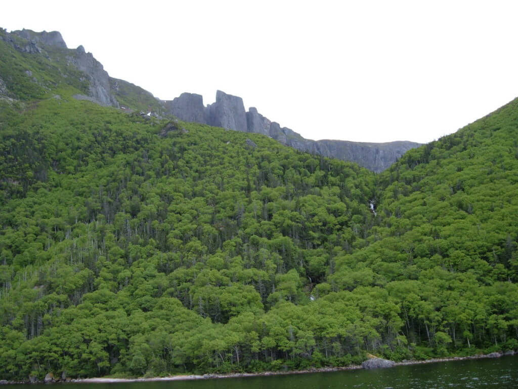 forested cliffs, western brook pond, gros morne national park, newfoundland, canada