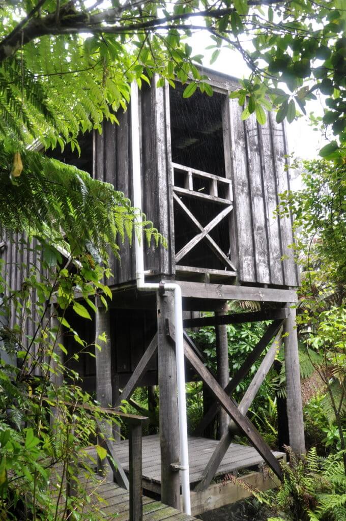 the bird hide, white heron sanctuary, south island, new zealand