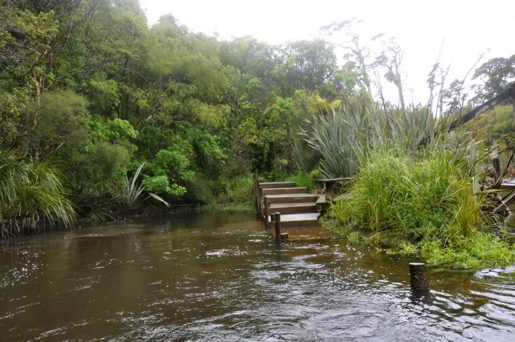 boat landing, white heron sanctuary, south island, new zealand