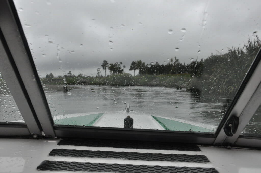 a view of waitangiroto river from the boat, white heron sanctuary, south island, new zealand
