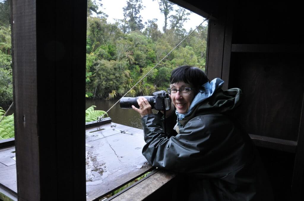 jean in the bird hide, white heron sanctuary, south island, new zealand