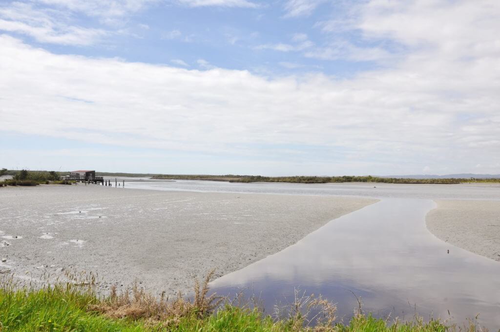 okarito lagoon, whataroa, south island, new zealand