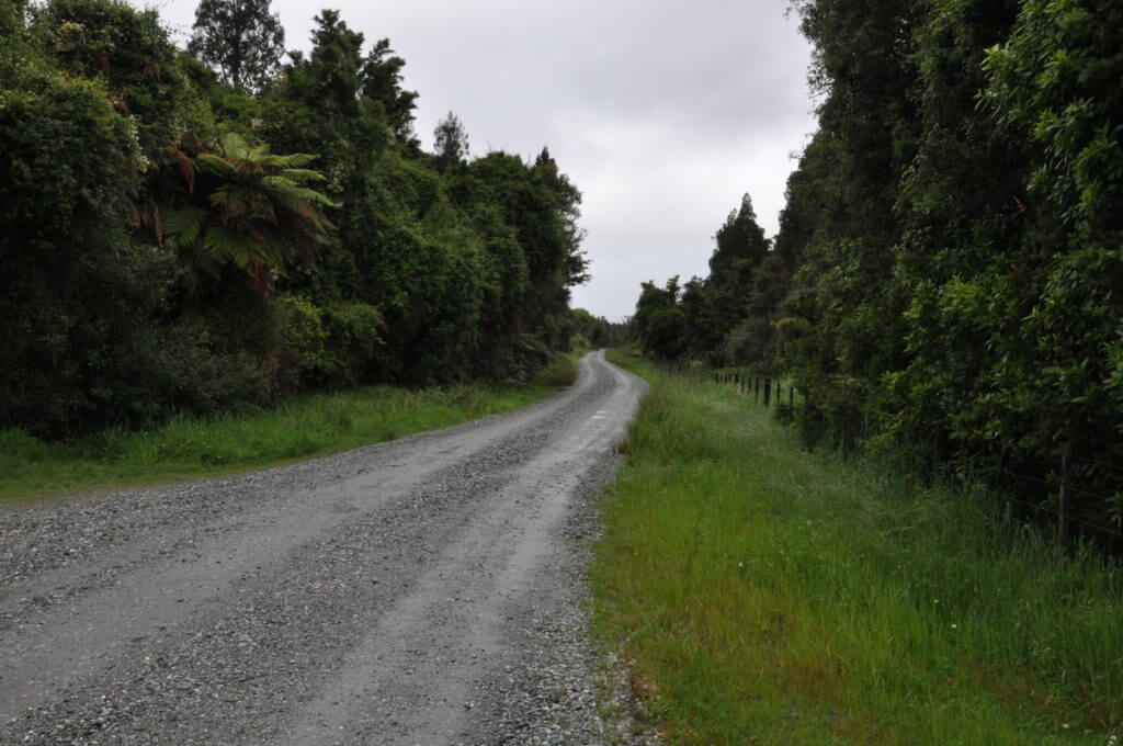 road from whataroa to waitangiroto river, south island, new zealand