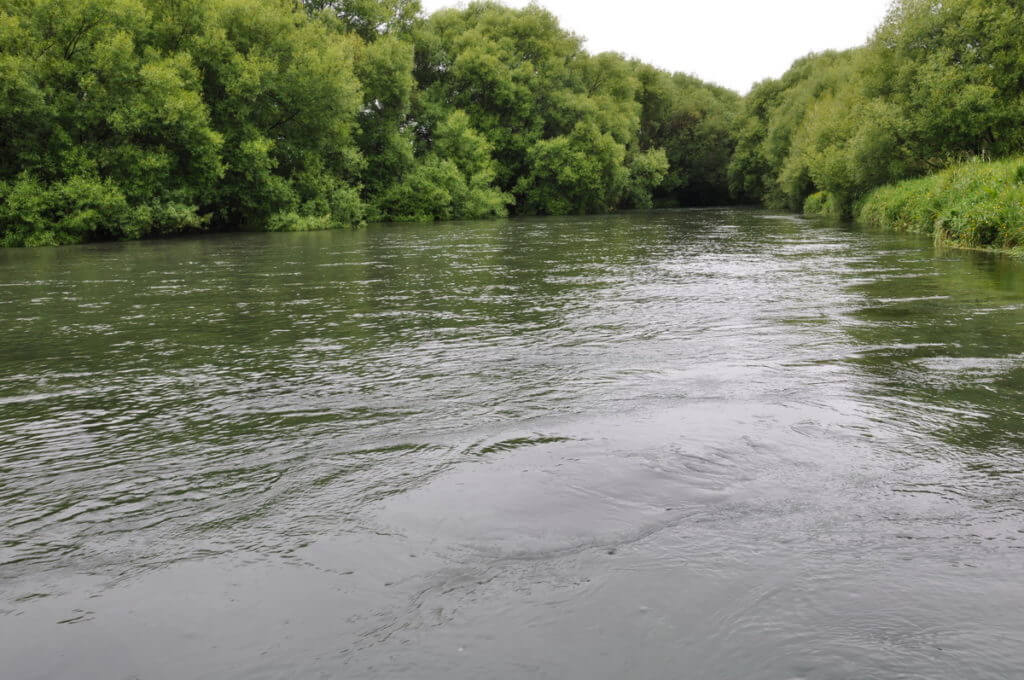 waitangiroto river, waitangiroto nature reserve, south island, new zealand
