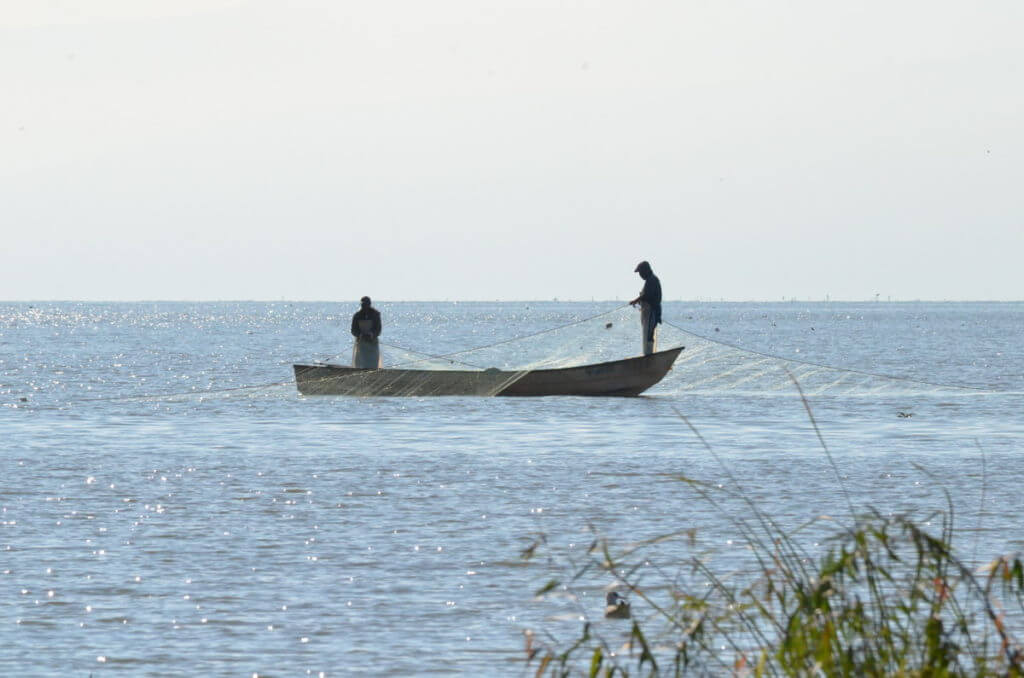 fishermen setting nets, lake chapala, mexico