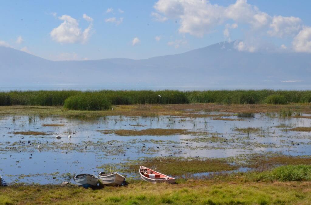 mudflats, lake chapala, mexico