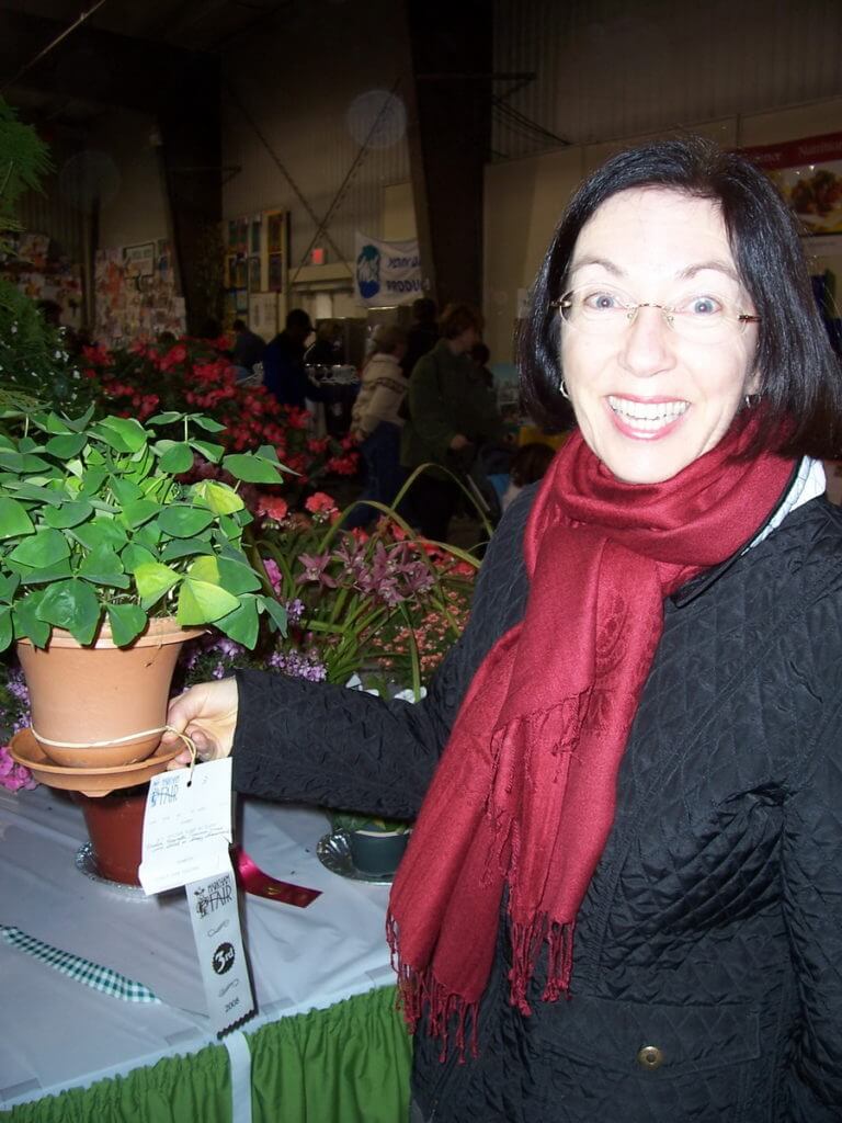a winner in the horticultural competition, markham fair, markham, ontario, 2008