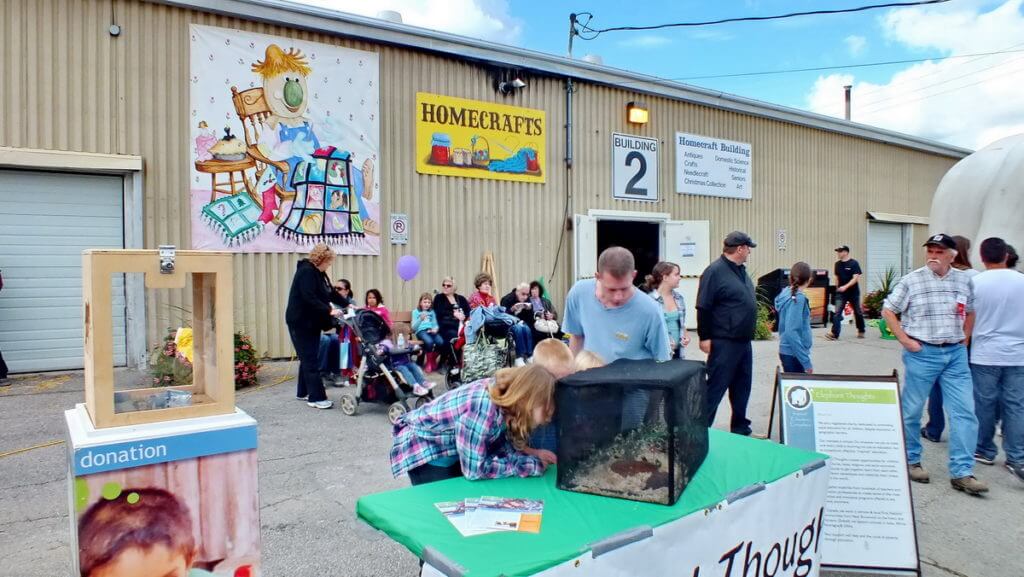 outdoor exhibit, markham fair, markham, ontario, 2012