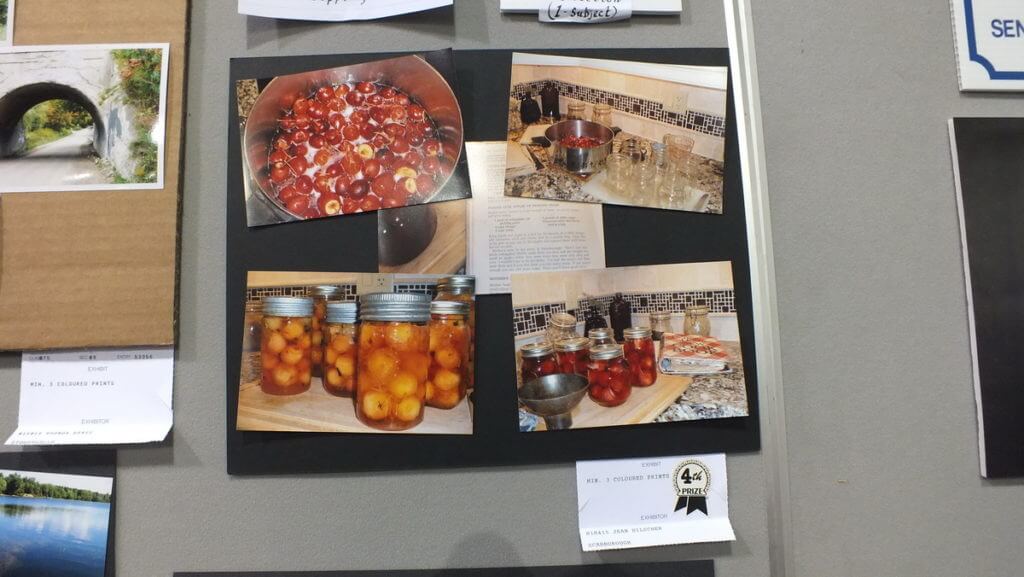 entry into photography competition, markham fair, markham, ontario, 2012