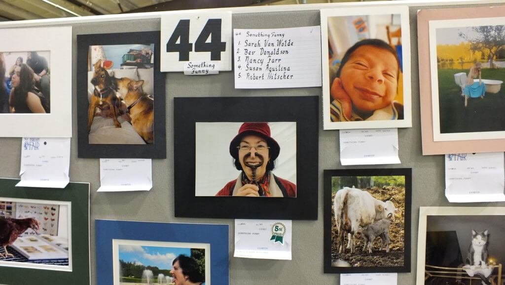 photography competition, markham fair, markham, ontario, 2011