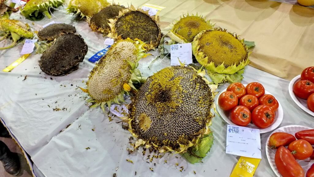 produce exhibit, markham fair, markham, ontario, 2012