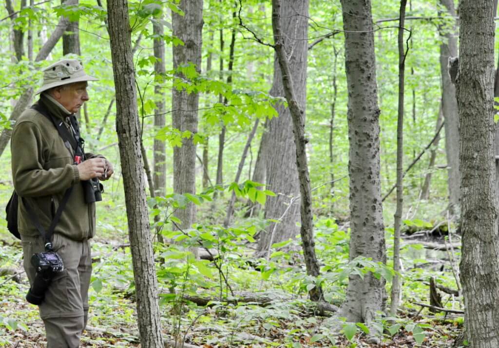 bob and owlet, rouge national urban park, toronto