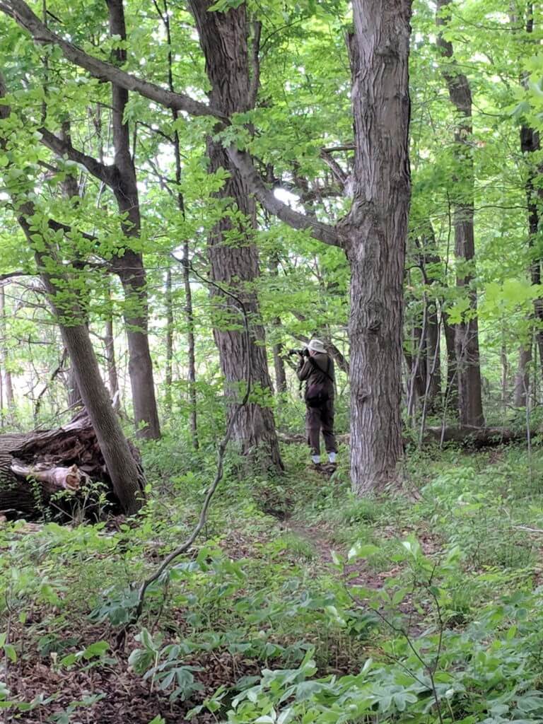 bob, rouge national urban park, toronto