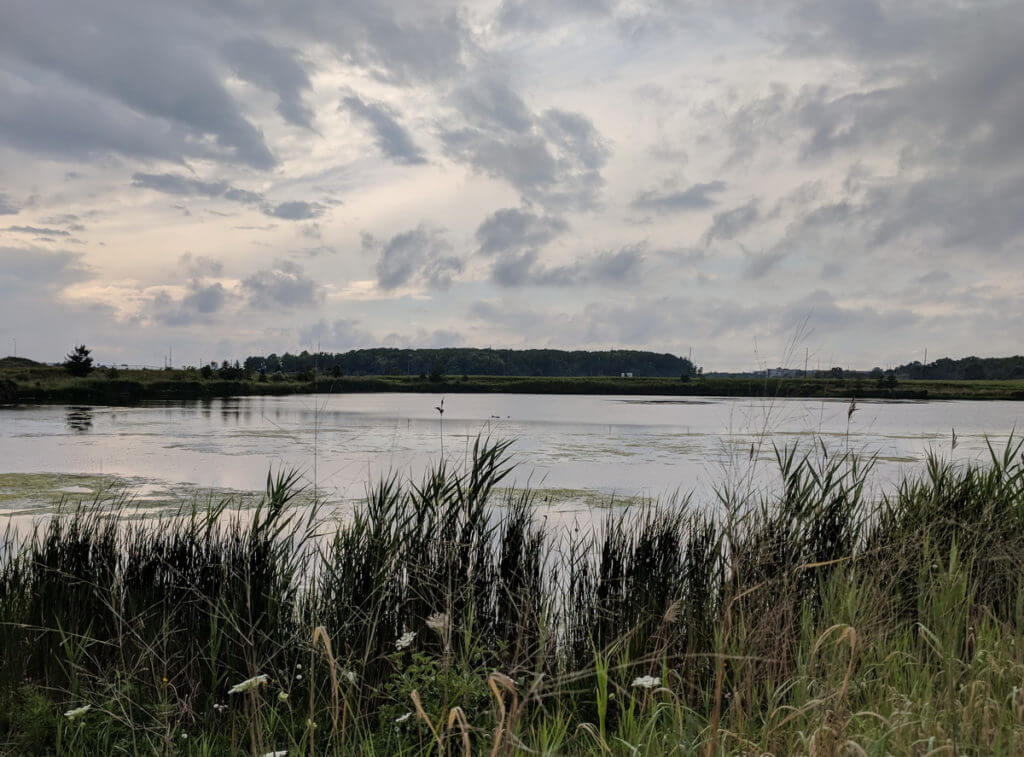 north reesor pond, rouge national urban park, markham, ontario